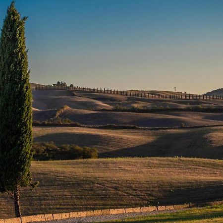 Casa Lavanda - Podere Fossaccio Asciano Eksteriør billede