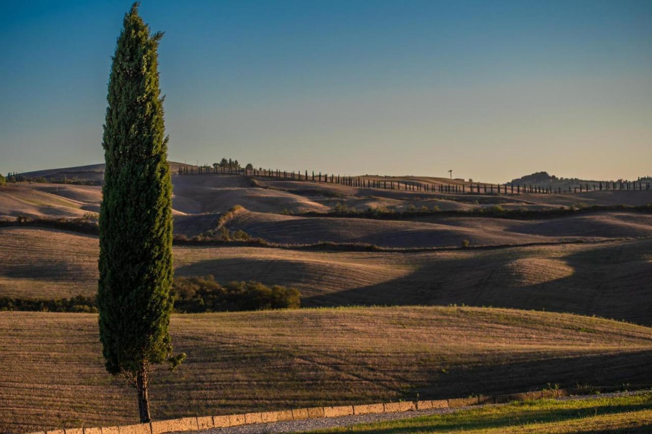 Casa Lavanda - Podere Fossaccio Asciano Eksteriør billede